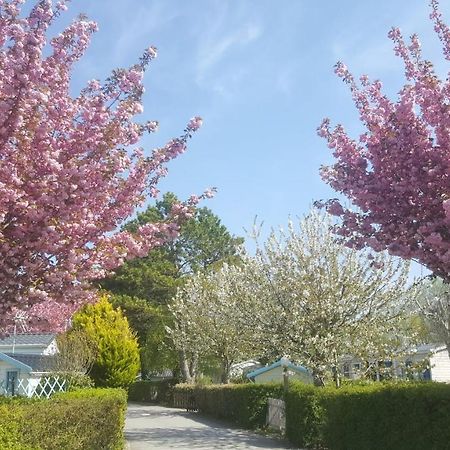 Camping Caravaning Les Cerisiers Berck Sur Mer Verton ภายนอก รูปภาพ