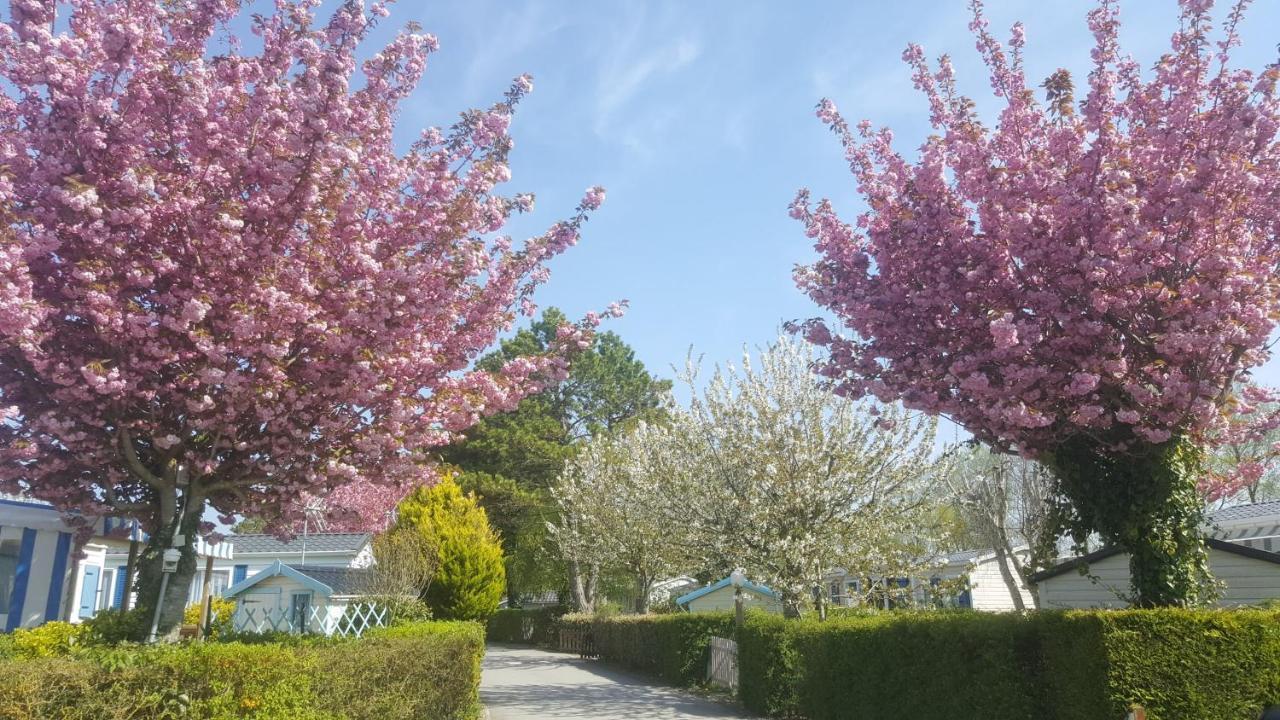 Camping Caravaning Les Cerisiers Berck Sur Mer Verton ภายนอก รูปภาพ
